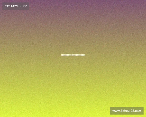 德甲赛季精彩回顾 聚焦球迷热情与精彩瞬间