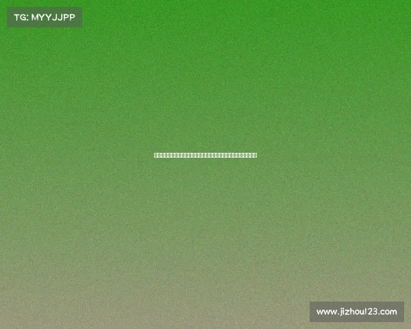 以克莱蒙为核心探讨法国中部历史文化发展与现代化进程的互动影响